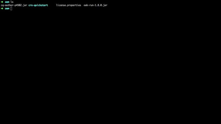 video poster