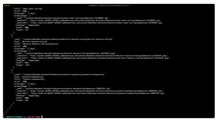 AEM ヘッドレスを備えたサーバー間 Node.js アプリ