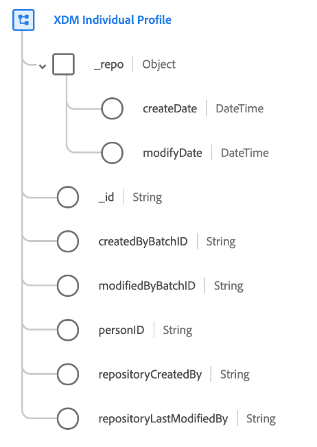 XDM 個人プロファイルクラスのスキーマ図。