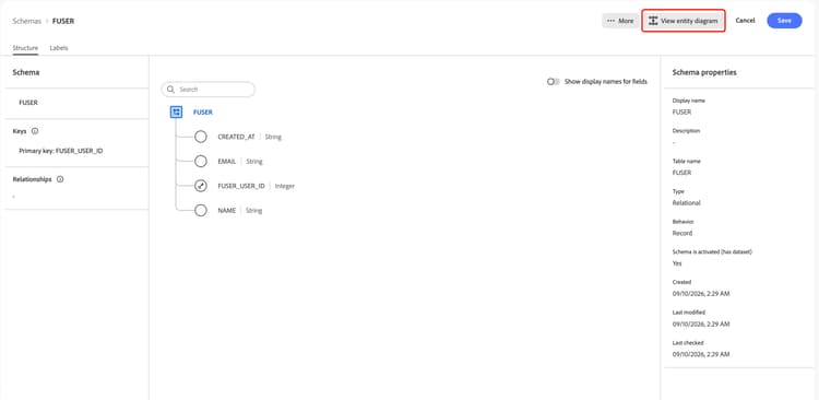 ​ 「エンティティ図を表示」ボタンがハイライト表示されます。