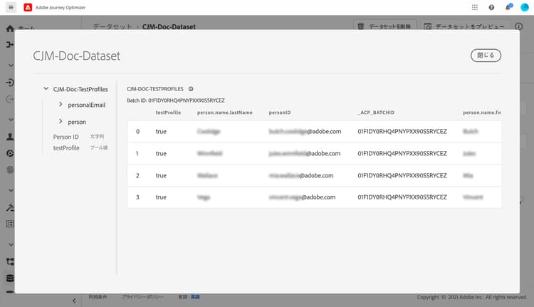 読み込まれたテストプロファイルを示すデータセットプレビュー