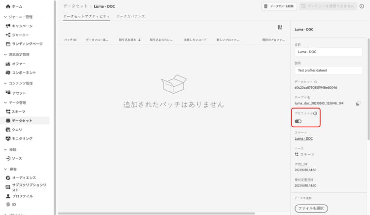 プロファイルオプションが有効なデータセット設定