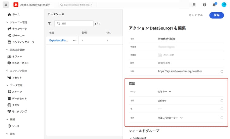 ​ タイプ、名前、値、場所の入力を示すAPI キー認証フィールド ​