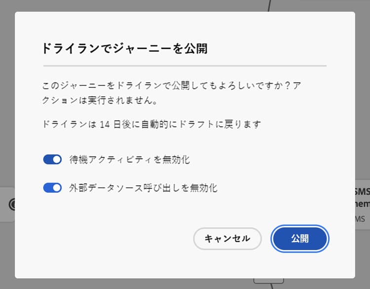 ジャーニーのドライラン公開の確認
