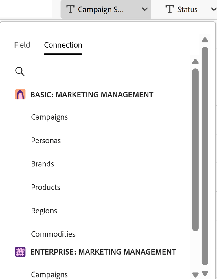 レコードタイプの読み込みマッピングボックスの「接続」タブ