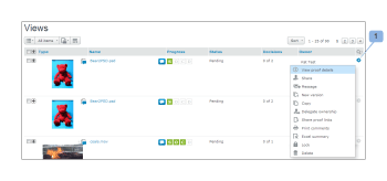 Page_views_-_thumbnails_list_view.png