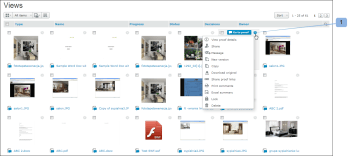 Page_views_-_thumbnails_view.png