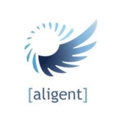 Aligent 컨설팅