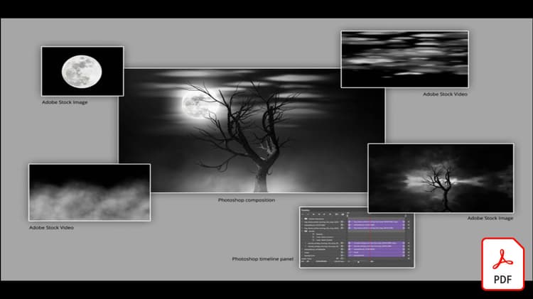 Photoshop CC 및 Adobe으로 핼러윈 영화 만들기 Stock