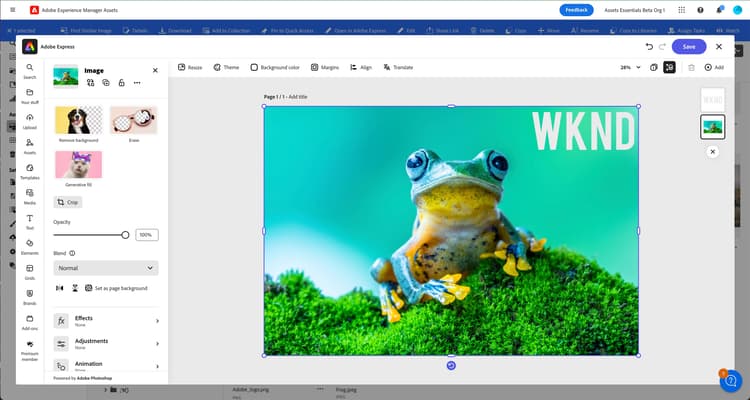 Essentials의 Express UI