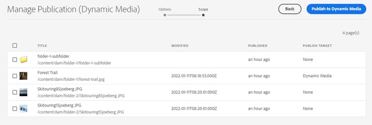 Dynamic Media으로 Publish