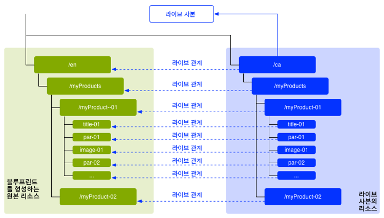 Live Copy 구성 개요