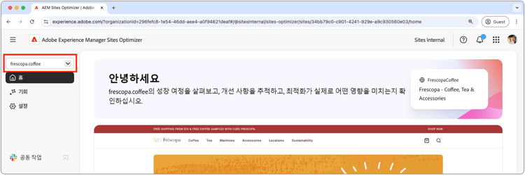 Site Optimizer 도메인 관리자