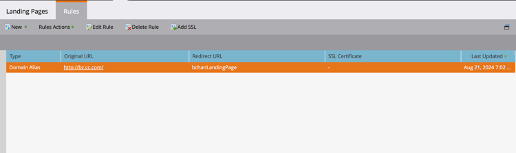 관리 영역 - 통합 > 랜딩 페이지 - 규칙 탭 - 도메인 별칭 선택