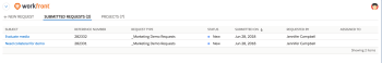 salesforce_submitted_requests.png
