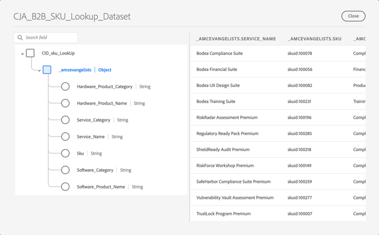 B2B schema en datasets van SKU
