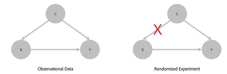 Een diagram met waarnemingsgegevens en het gerandomiseerde experiment.