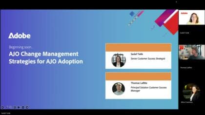 Wijzigingsbeheerstrategieën voor Adobe Journey Optimizer-adoptie