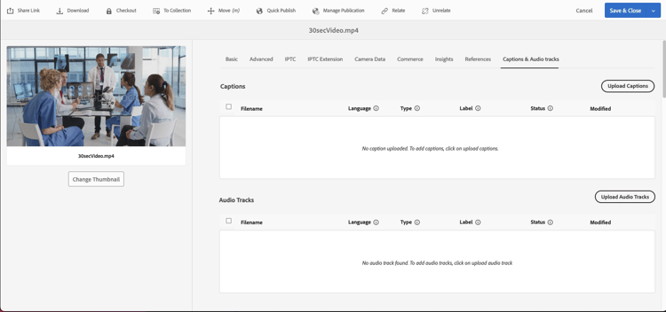 Bijschriften en Audiosporen lusje op de pagina van Eigenschappen.