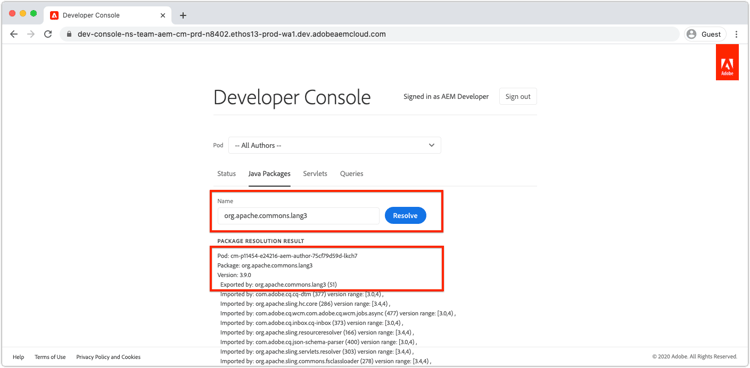 Developer Console - Java Packages