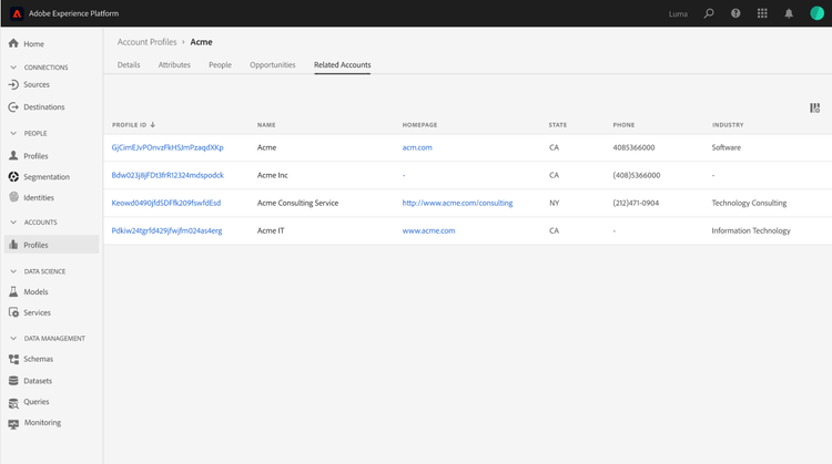 Scherm met verwante accounts in de gebruikersinterface van het Experience Platform.