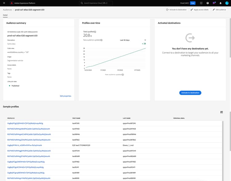 de pagina van publieksdetails wordt getoond voor een publiek dat gebruikend het stromen segmentatie wordt geëvalueerd.