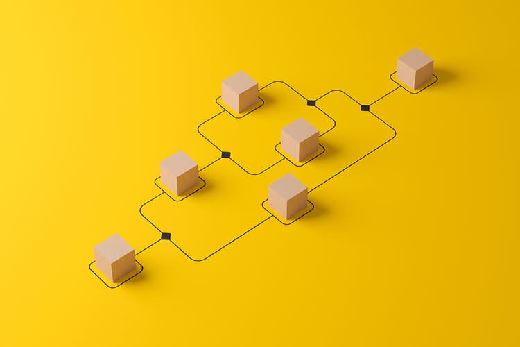 Reisrapporten