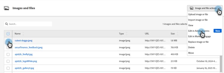 ​ Selecterend checkbox naast de beeldnaam en gebruikend de Beelden en de dossieracties drop-down ​