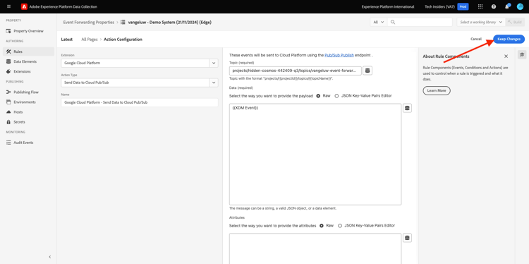de Inzameling SSF van Gegevens van Adobe Experience Platform