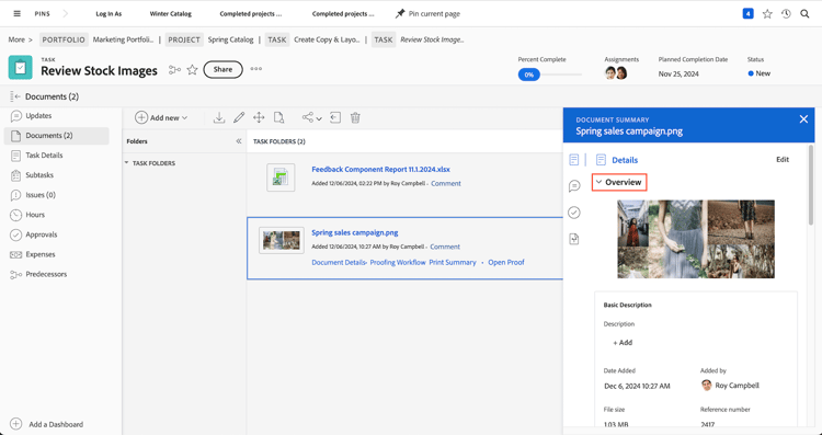een beeld van de Documents sectie van een project met geselecteerde proef en het summiere paneel uitgevouwen. Zowel worden het pictogram van het samenvattingspaneel als het samenvattingsvenster gemarkeerd.