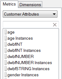 Captura de tela mostrando a métrica e os atributos do cliente da dimensão.