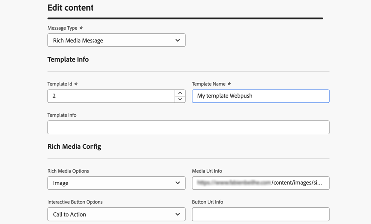 Captura de tela mostrando as opções de configuração de atributos para o canal de API.