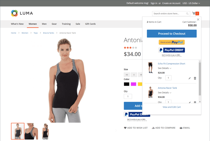 PayPal Payments Pro exibido no minicarrinho