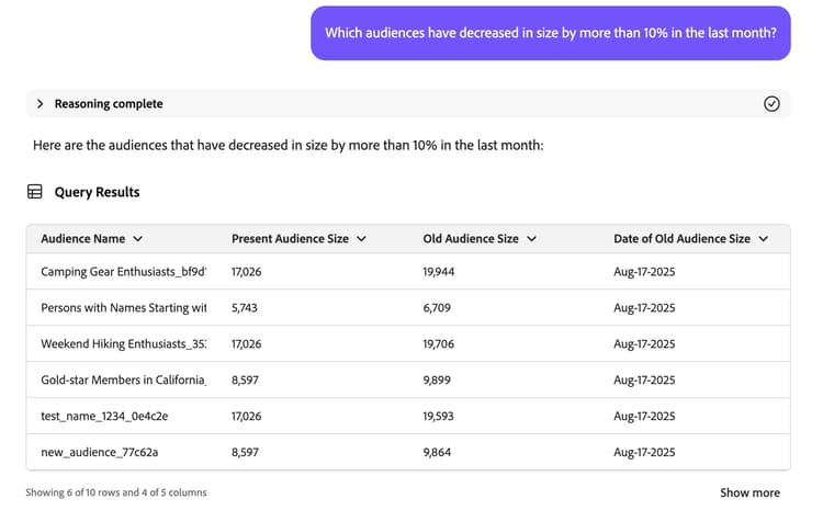 O Assistente de IA exibe uma tabela que lista os nomes de todos os públicos-alvo que correspondem à consulta. Ele também mostra o tamanho atual do público, o tamanho anterior do público, bem como a data do tamanho antigo do público.