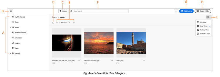 Assets Essentials user interface