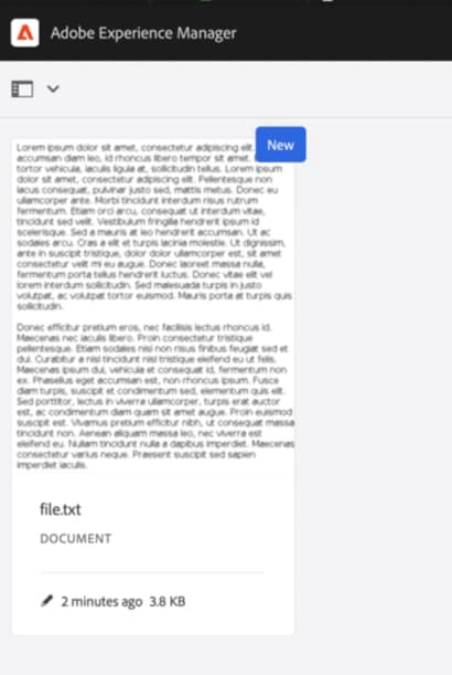 Uma representação de um arquivo TXT é gerada automaticamente por Assets em formato PNG