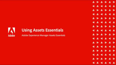 Pesquisar na visualização AEM Assets Assets para localizar Assets