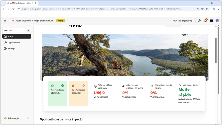Sites Optimizer