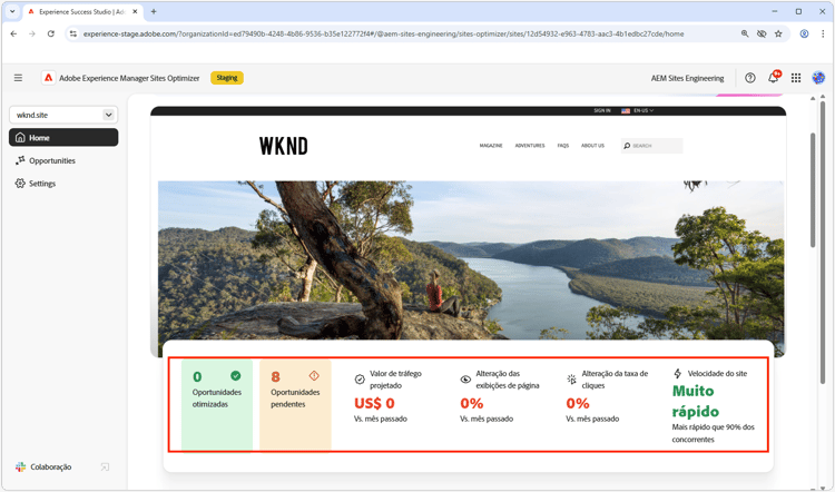 Resumo do site do Site Optimizer