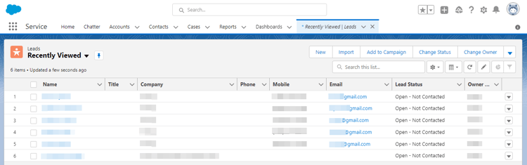 Captura de tela do Salesforce CRM mostrando a página de clientes potenciais com os perfis do segmento.