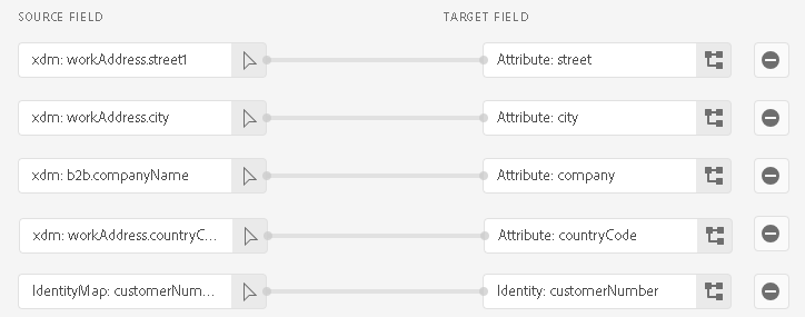 Imagem da interface do usuário do Experience Platform mostrando um exemplo com mapeamentos de atributos obrigatórios e opcionais, em que o cliente é uma empresa.