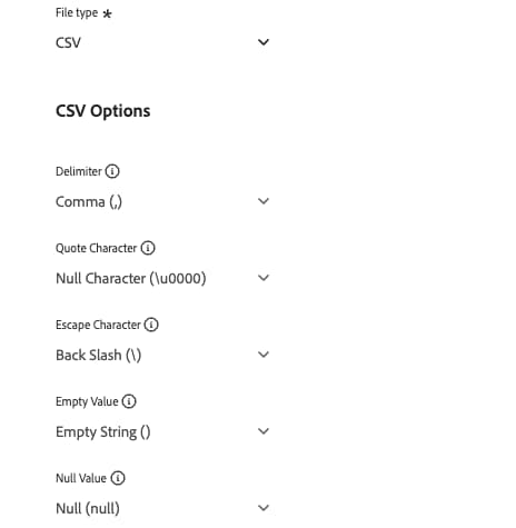 Imagem mostrando a seleção do tipo de arquivo e várias opções para arquivos CSV.