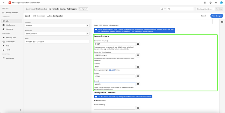 A seção Conversion Data mostrando dados de exemplo nos campos.