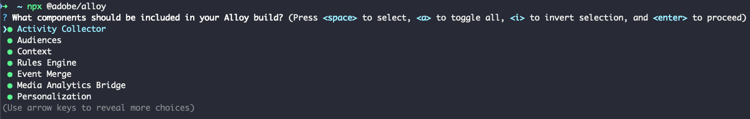 Imagem de um terminal mostrando a seleção do módulo de compilação personalizada.