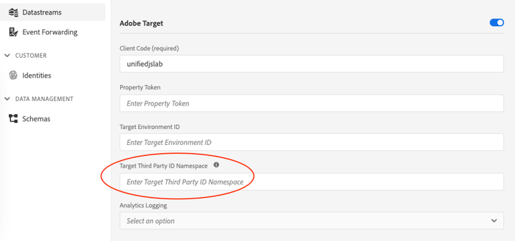 Interface do usuário da plataforma mostrando o campo de namespace da ID de terceiros do Target.