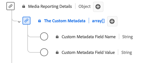 Um diagrama do tipo de dados Relatórios de Detalhes de Metadados Personalizados.