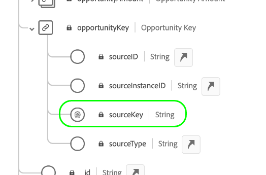 campo sourceKey