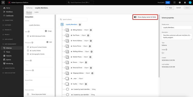 O Editor de Esquemas com Show display names for fields realçado.