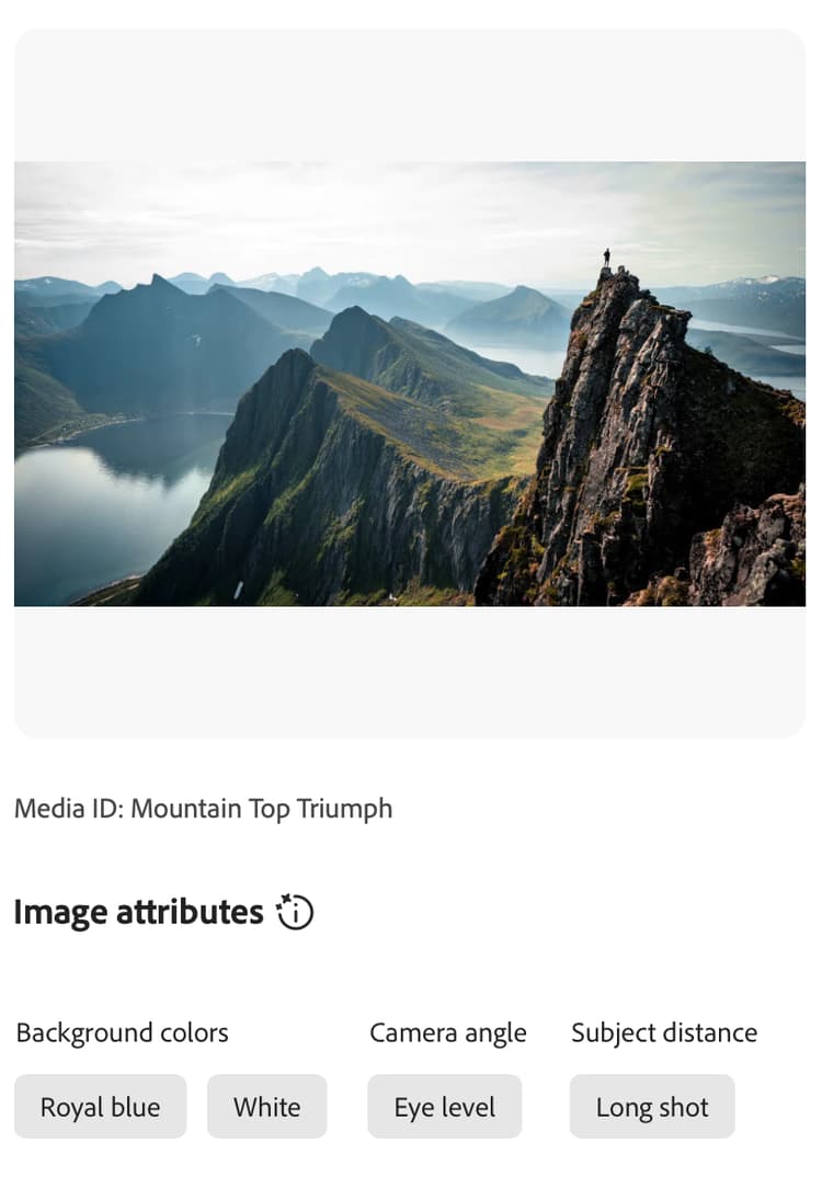 Topo da montanha de tiro longo