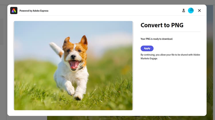 Converter em janela PNG/JPEG